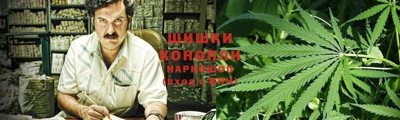 как найти   Кологрив  Конопля SATIVA & INDICA 